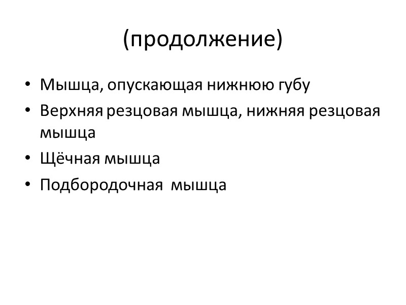 (продолжение) Мышца, опускающая нижнюю губу Верхняя резцовая мышца, нижняя резцовая мышца Щёчная мышца Подбородочная